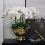 FagusHome 32" Artificial Phalaenopsis Flowers 6 Pcs Artificial Orchid Flowers Stem Plants for Home Décor (6Pcs)