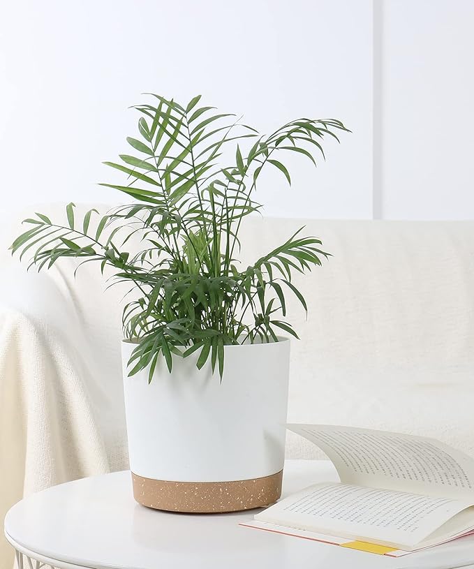 kubvici 2 Pack 8 Inch Planters for Indoor Plants, Plastic Flower Pots Plant Pots Indoor with Drainage Saucer for Outdoor Garden Home Plant, White 8”