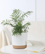 kubvici 8'' Plastic Flower Planter Pots Set of 2 Indoor Outdoor Planters with Drainage Saucer for Garden Home (Green & White, 8 inch)