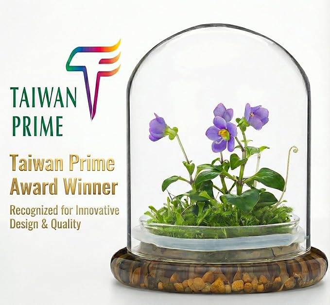 Award Winning: Persian Violet with Sundew Moss - Live Flower Terrarium in Self Sustaining Glass Jar, Maintenance Free and Blooms All-Season, Great Unique Gift and Home Decor, 100% Growth Guarantee