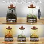 Desktop Glass Plant Terrarium with Grow Light, for Moss, Succulent, Miniature Gardening Landscape, Betta Fish Tank, Desktop Decorations for Home and Office, Plant Lovers Gift (2.7L, H:8.3" D:6.1")