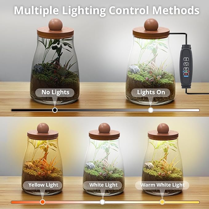 Desktop Glass Plant Terrarium with Grow Light, for Moss, Succulent, Miniature Gardening Landscape, Betta Fish Tank, Desktop Decorations for Home and Office, Plant Lovers Gift (2.7L, H:8.3" D:6.1")