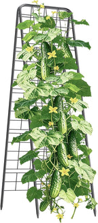 100% Metal Cucumber Trellis for Raised Bed,62"x17" A-Shape Garden Plant Support for Climbing Plants, Heavy Duty Metal Garden Trellises Plant Support for Vine Vegetables Outdoor (Black, 62x17inch(H*W))