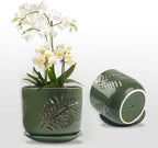 5+6 inch Orchid Pots with Holes, Orchid Pots for Repotting, Healthy Air Circulation Plant Pots for Plant Lovers, Planters for Indoor/Outdoor Plants, Set of 2