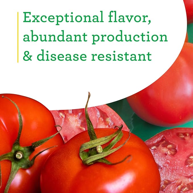 Bonnie Plants Bonnie Original Tomato Live Vegetable Plants - 4 Pack, Disease Resistant, 6 - 8 Oz. Fruit Size, Great for Slicing