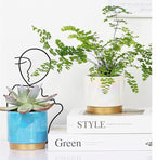 Gepege Succulent Pots for Plants, Succulent Planter with Drainage Holes, Ceramic Pot for Indoor Plant, Set of 4