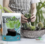 Succulent Soil Potting Mix Succulents Plants Live Succulent pots Potting Soil for Succulents Indoor suculentas Potting