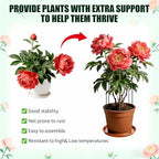 Peony Cages and Supports 8 Pack, 13" Dx24 H Grow Through Plant Supports，Heavy Duty Metal Plant Support Cage for Outdoor Flowers, Tomatoes, Hydrangeas, Cucumbers & Strawberries