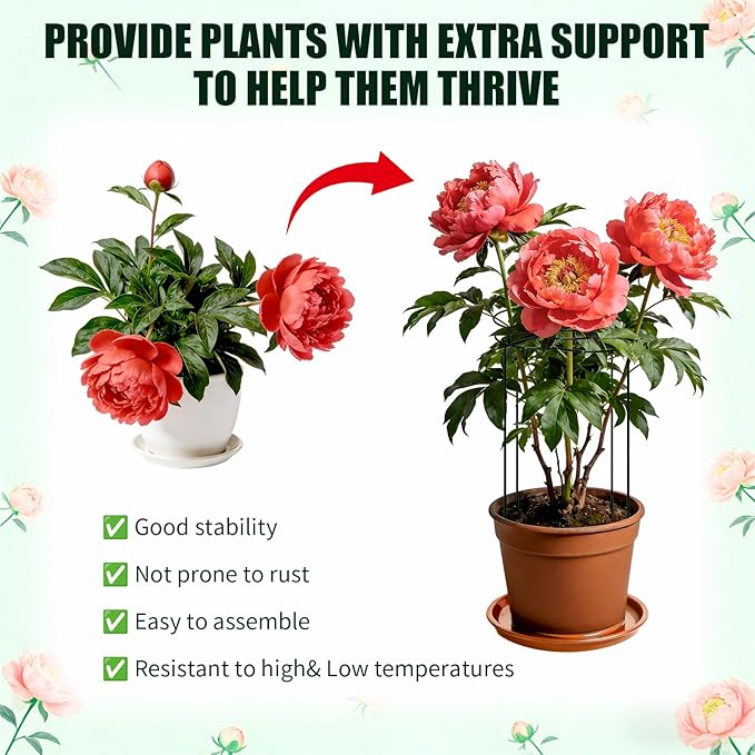 Peony Cages and Supports 4 Pack, 13" Dx24 H Grow Through Plant Supports, Heavy Duty Metal Plant Support Cage for Outdoor Flowers, Tomatoes, Hydrangeas, Cucumbers & Strawberries