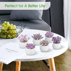 ZINHO Fake Succulent Plant Set 6 PCS Artificial Succulent Plants for Desk Realistic Faux Succulents in Plastic Pots Mini Colorful Succulent Decor for Bedroom Bathroom Office Shelf Decor (Purple)