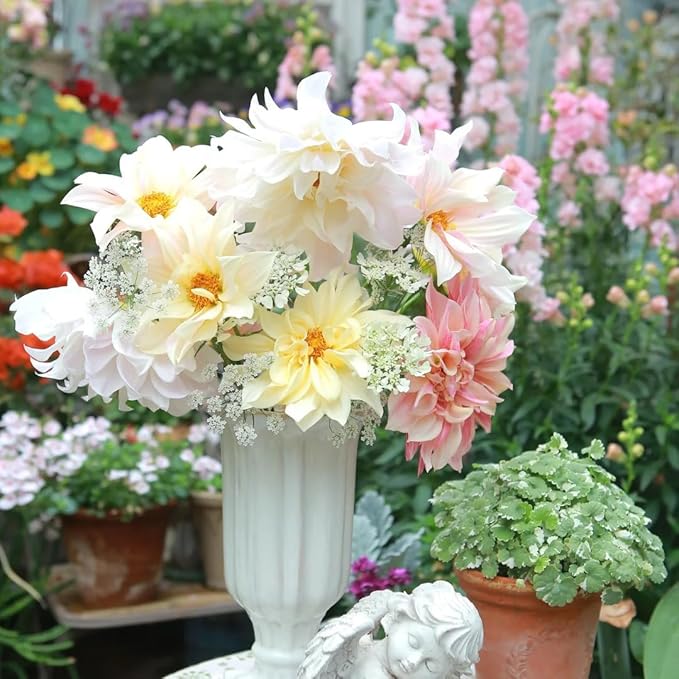 Dahlia Seeds for Planting, 400pcs Rare Perennial Garden Dahlia Flower Seeds Plants, Non-GMO Heirloom Beauty Flowers Home Garden for Outdoors