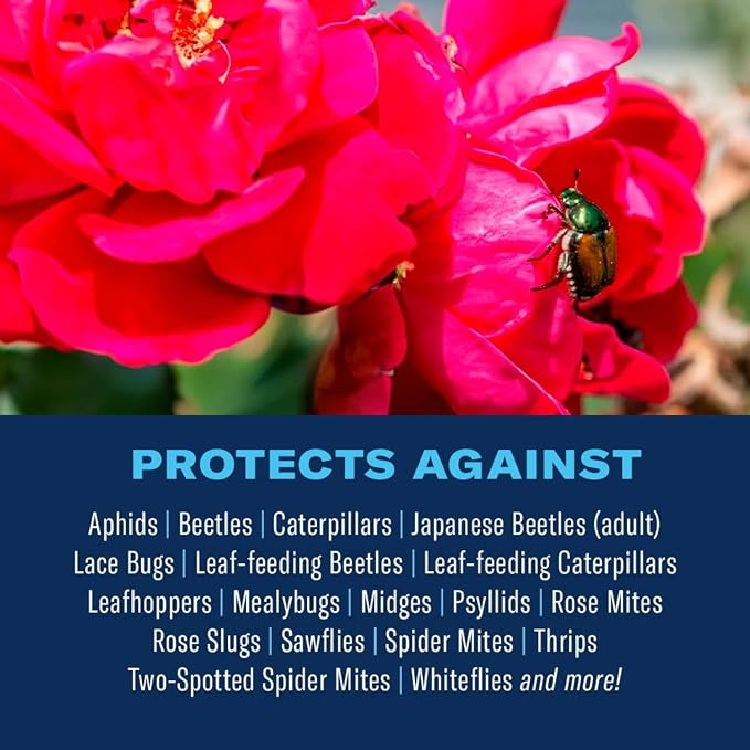BioAdvanced 3-in-1 Insect, Disease, and Plant Mite Control Spray - Insecticide, Fungicide & Miticide - Ready-to-Use - Prevents Pests and Diseases - Up to 14 Days Protection - 24 fl oz Bottle