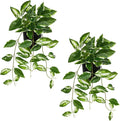 Briful Small Fake Plants Indoor (Set of 2) Realistic Faux Trailing Plant Artificial Potted Plants in Black Pot White N' Joy Leaf Houseplant for Living Room Table Kitchen Counter Shelf