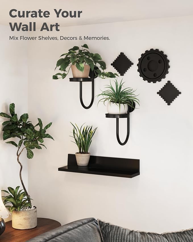 Bamworld Hanging Planters for Indoor Plants Wall Plant Holder Plant Hanger Indoor Wall Planters Window Plant Shelves Hanging Plant Holder Window Plant Hanger Plant Decor Black 2pc