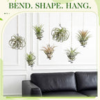 Hicarer 6 Pack Hanging Air Plant Holders with Jute Rope, Black Spiral Soilless Air Plant Hanger Set with Adjustable Rust-Resistant Iron Rings for Tillandsia, Succulent Home Office Decor
