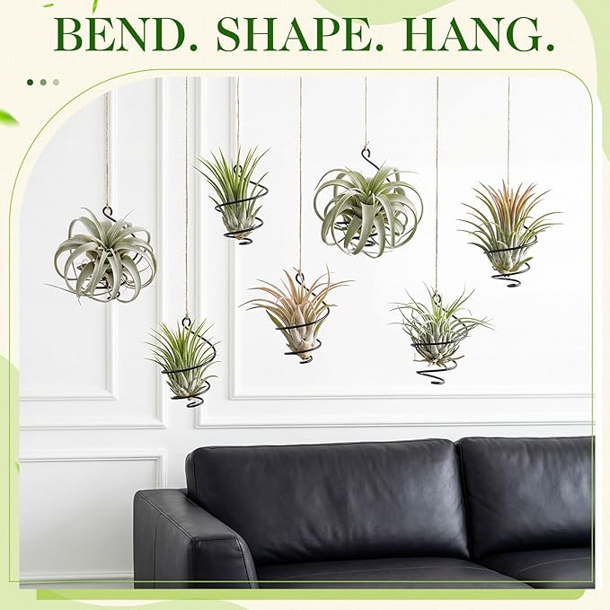 Hicarer 6 Pack Hanging Air Plant Holders with Jute Rope, Black Spiral Soilless Air Plant Hanger Set with Adjustable Rust-Resistant Iron Rings for Tillandsia, Succulent Home Office Decor