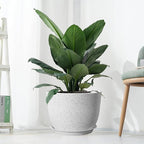 UOUZ 12inch Large Plant Pot, Modern Plastic Planter with High Driange Holes and Saucer for Indoor Outdoor Garden Plants and Flowers, White Speckles
