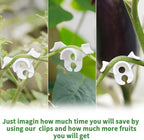 XINHUIDALSQ 60 PCS Low-Pressure Plant Training Clip, 90 Degrees Plant Stem Trainer, Plant Training Clips Plant Bud Bender, Gentle Plant Clips(White)