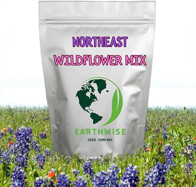 Earthwise Northeast Native and Naturalized Wildflower Seed Mix – Season-Long Color, Pollinator Friendly, Organic, Low Maintenance, Chemical-Free, Pet Safe – Covers Up to 1,000 sq ft, 1/2 lb