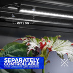 Barrina T5 Grow Lights for Indoor Plants, 2FT 20W (2 X 10W) Plant Grow Lights Indoor with Magnetic Bar, Linkable Plant Growing Lamps with Black Cover, Plug and Play, 5000K, 2 Packs