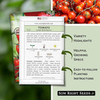 Sow Right Seeds - Large Red Cherry Tomato Seeds for Planting - Non-GMO Heirloom Packet with Instructions to Plant a Home Vegetable Garden - Tasty Snacking Variety, Start Indoors - Indeterminate (4)