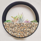 GASPRO 5 lb Decorative Pebbles for Plants, 3/8 Inch Mixed Color Rocks, Small Stones for Indoor Planters, Succulents & Vase Filler, Pea Gravel for Aquariums