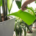 MyLifeUNIT Watering Can for Indoor Plants, Water Can with Shower Head, 1/2 Gallon (Green)