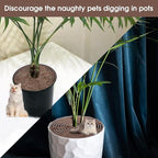 Nogeqi 2pcs 7.5/11.8 Inch Plants Covers Soil,Plant Pot Grid,Plastic Plant Covers from Animals with Ground Nails,Keep Dog and Cat Out of Potted for Indoor Plants(Large Small)
