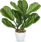 GnFlus Fake Plant Artificial Fiddle Leaf Fig Plant in White Pot for Indoor Outdoor Farmhouse Living Room Shelf Home Office Decor