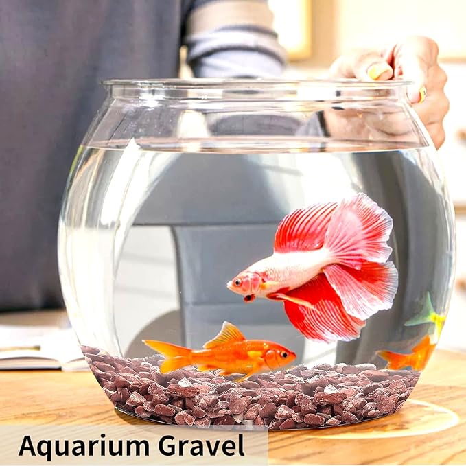 FANTIAN 5 lbs Succulent and Cactus Pebbles for Indoor Plants, 3/8 Inch Pea Gravel Decorative Red River Rocks for Plants, Vases, Terrarium, Aquarium, Potted Top Dressing and Outdoor Landscaping Stones