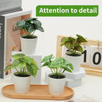 6 Pack Fake Plants for Room Decor,Mini Artificial Potted Plants for Home Office Living Kitchen Classroom Table Shelf Desk Farmhouse Bathroom Indoor Decor