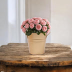 Hosley Set of 3 Gold Metal Bucket/Pots with PVC Liner, Ideal Gift for Floral Arrangements Wedding Home Office Party DIY Indoor Outdoor Garden Patio 5" Dia x 5" H