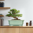 Bonsai Pots - 13.7 Inch Rectangle Ceramic Pots for Plants, Large Succulent Planter with Drainage Hole, Decorative Planters for Indoor Outdoor, Garden House Decor, Housewarming Gifts, Green