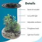 SubstrateSource Bio Cylinder - Glass Plant Terrarium Kit - Glass Terrarium w/LED Grow Light, Adjustable Ventilation Lid, Substrate, Moss & Accent Rocks - Bio Cylinder 200