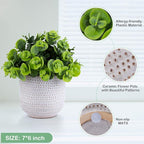 Artificial Plants in Ceramic Planter Cute Lysimachia Fake Succulent Flowers Potted for Home Office Table Desk Decor Living Room Bathroom Bedroom Shelves Decoration