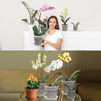 12 Pack Orchid Pot with Saucers, 4 Each of 4.5in, 5.5in and 6.3in Orchid Pots for Repotting, Clear Orchid Pots with Holes, Plastic Flower Plant Pot