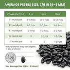 Polished Black Pebbles, 3/8 Inch Highly Glossy Decorative Gravel for Plants - Natural River Rocks for Succulent, Cactus, Aquarium, Vase Filler, Terrarium, Outdoor Garden & Landscaping-6LB