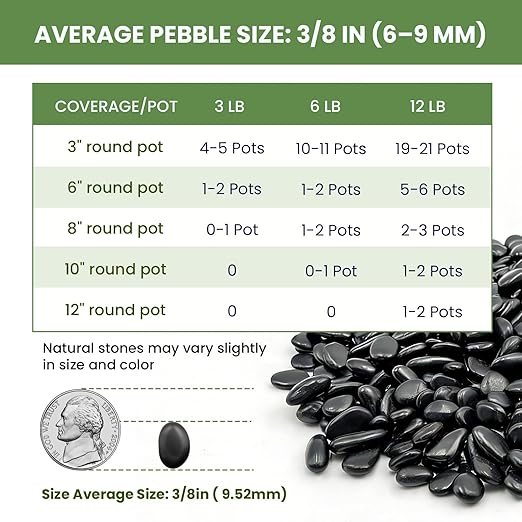 Polished Black Pebbles, 3/8 Inch Highly Glossy Decorative Gravel for Plants - Natural River Rocks for Succulent, Cactus, Aquarium, Vase Filler, Terrarium, Outdoor Garden & Landscaping-6LB