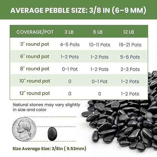 Polished Black Pebbles, 3/8 Inch Highly Glossy Decorative Gravel for Plants - Natural River Rocks for Succulent, Cactus, Aquarium, Vase Filler, Terrarium, Outdoor Garden & Landscaping-3LB