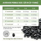 Polished Black Pebbles, 3/8 Inch Highly Glossy Decorative Gravel for Plants - Natural River Rocks for Succulent, Cactus, Aquarium, Vase Filler, Terrarium, Outdoor Garden & Landscaping-3LB