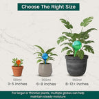 Little Green Leaf Automatic Plant Watering Globes Self Watering Planter Inserts 1 Pack | Hands Free Multicolor Glass Bulb | Planter Spikes to Support Indoor & Outdoor Plant Health (100ml)
