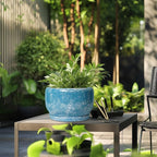 SQOWL Ceramic Planters - 10 Inch Plant Pot Indoor with Drainage Hole and Saucer, Decorative Flower Pot Outdoor, Round Large Planter, Living Room Office Garden Decor, Plant Lover Gifts for Women, Blue