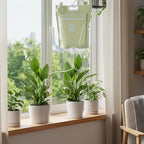 6.5L Plant Self Watering Bag,Automatic Plant Waterer-Dual Water Tube Design, Smart Timer Indoor Plant Watering System, Self-Watering System for Indoor Plants, Auto Watering for Plants