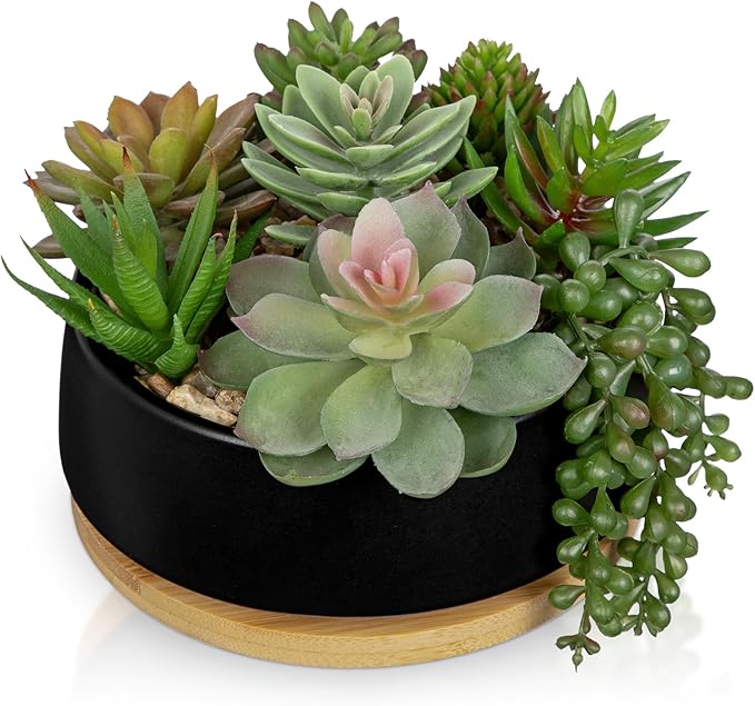 Artificial Succulent Plants in Pot 5.5 Inch Fake Succulents Arrangement Potted Plant in Black Ceramic Planter Bowl with Wood Saucer for Home Office Desk Shelf Living Room Bedroom Bathroom Decor