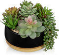 Artificial Succulent Plants in Pot 5.5 Inch Fake Succulents Arrangement Potted Plant in Black Ceramic Planter Bowl with Wood Saucer for Home Office Desk Shelf Living Room Bedroom Bathroom Decor