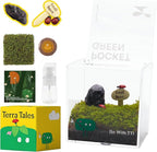DIY Moss Terrarium Kit, 4 * 4 * 4 inch Acrylic Cube Mini Garden with Live Star Moss, Soil, Boundless Fortune-Craft Kit for Adults and Teens, Relaxing Desk Decor & Unique Gift for Home or Office