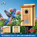 SISTERBIRD Preminum Bluebird Houses for Outside, Wooden Bluebird House, Birdhouses for Outdoors Courtyard, Festival Bird Nesting, Assembly Bird Box, Bluebird House (Assembly Completed)