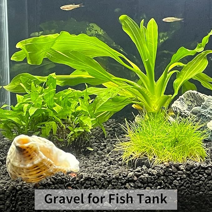 FANTIAN 10LB Black Pea Gravel for Landscaping, 3/8 Inch Black Pebbles for Plants Cactus Succulent Fish Tank and Garden Black Stones