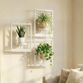 Picture Frame Wall Planters Set of 3, Modern Metal Hanging Shelves for Plants, Rustproof Wall Mount Flower Pot Holder for Indoor Outdoor, Decorative Plant Stand for Living Room Patio, White