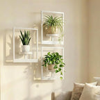 Picture Frame Wall Planters Set of 3, Modern Metal Hanging Shelves for Plants, Rustproof Wall Mount Flower Pot Holder for Indoor Outdoor, Decorative Plant Stand for Living Room Patio, White